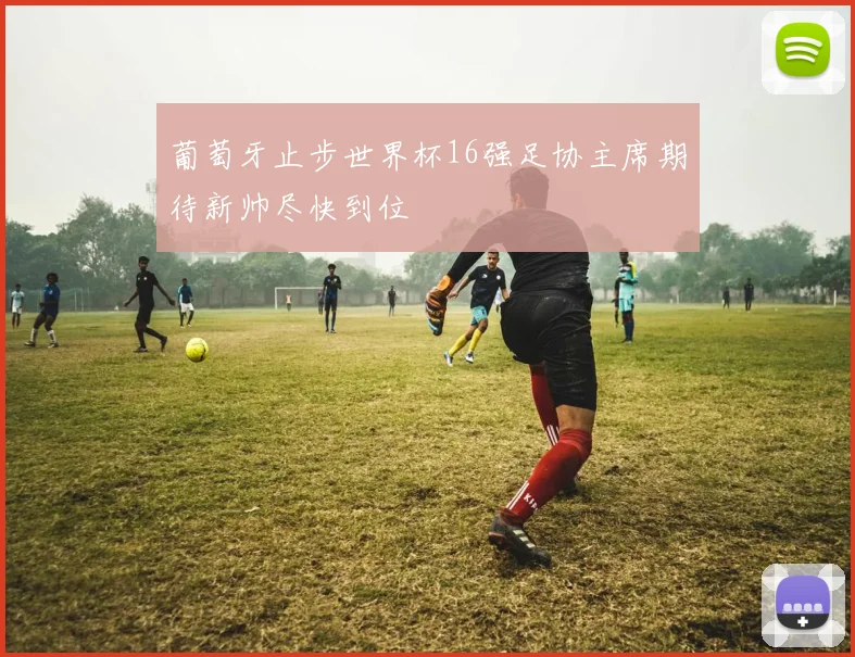 葡萄牙止步世界杯16强足协主席期待新帅尽快到位