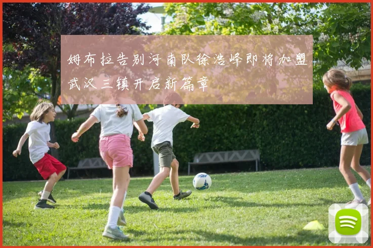 姆布拉告别河南队徐浩峰即将加盟武汉三镇开启新篇章